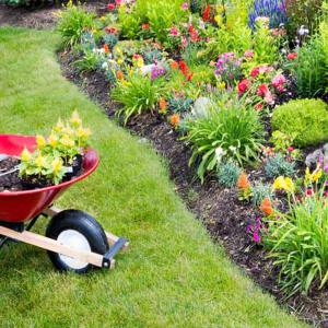 Entretien espace vert Parc & Jardin 28