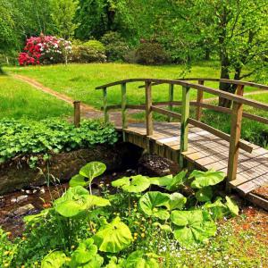 Entretien espace vert Parc & Jardin 28