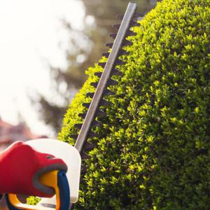 Entretien espace vert Parc & Jardin 28
